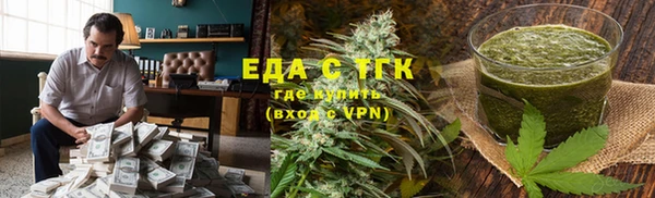 хмурый Тайга