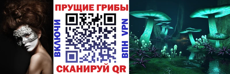 Псилоцибиновые грибы GOLDEN TEACHER  купить закладку  Мончегорск 